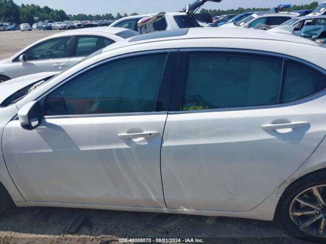 19UUB1F31JA008446 Acura TLX