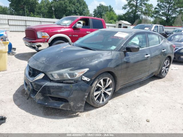 1N4AA6AP2HC368938 Nissan Maxima 3.5 Platinum/3.5 S/3.5 Sl/3.5 Sr/3.5 Sv