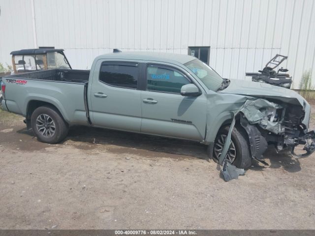 3TYDZ5BN6PT033657 Toyota Tacoma Trd Sport