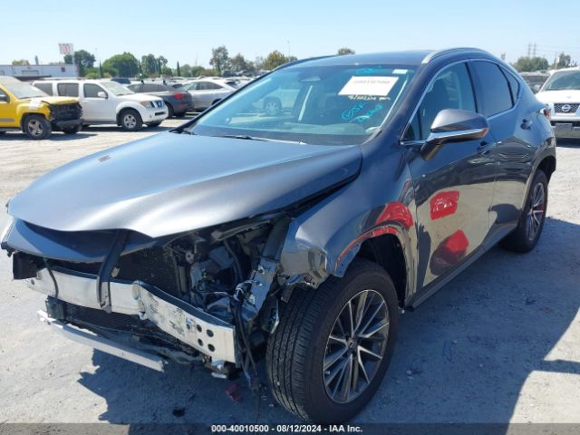 2T2GGCEZ3PC031094 Lexus Nx 350 Premium