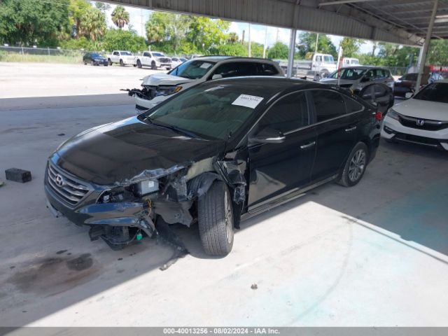 5NPE34AF1GH273789 Hyundai Sonata Sport