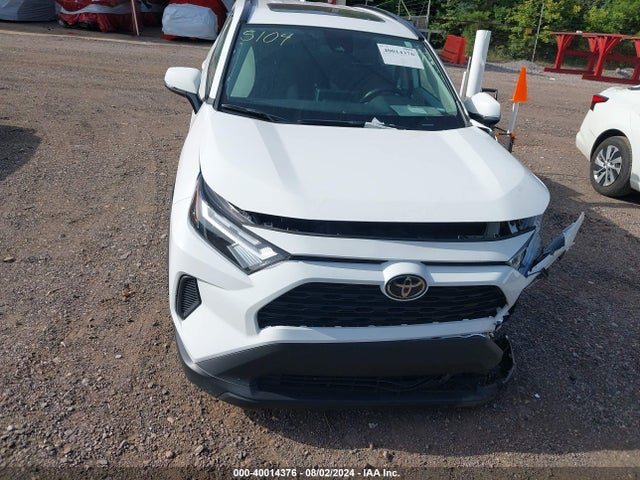 Toyota Rav4 Xle 2023 2T3W1RFV5PW292197 Image 12