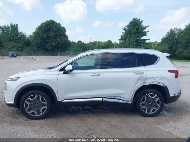 5NMS4DAL5PH529970 Hyundai Santa Fe Limited