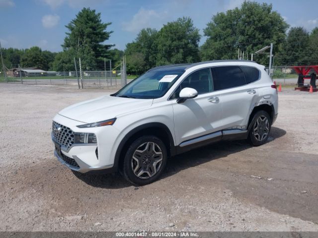 5NMS4DAL5PH529970 Hyundai Santa Fe Limited