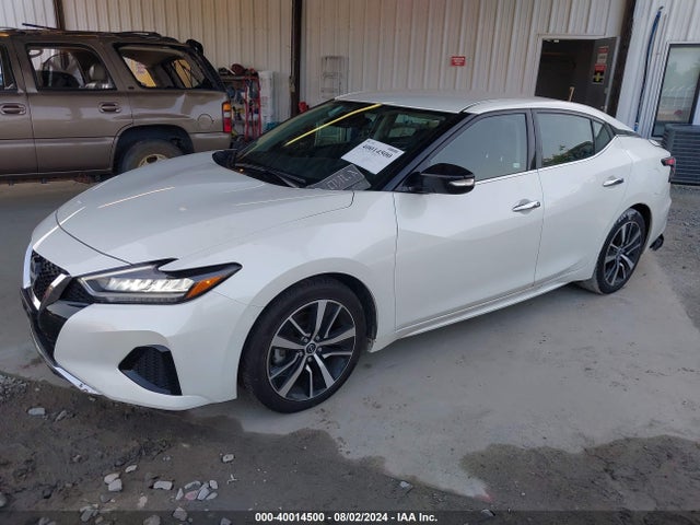 Nissan Maxima Sv Xtronic Cvt 2023 1N4AA6CV4PC511494 Image 2