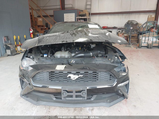 Ford Mustang Ecoboost Fastback 2021 1FA6P8TH9M5114017 Image 12