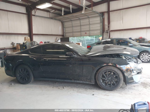 Ford Mustang Ecoboost Fastback 2021 1FA6P8TH9M5114017 Image 13