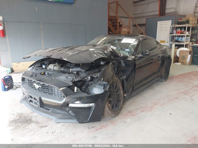 Ford Mustang Ecoboost Fastback 2021 1FA6P8TH9M5114017 Image 2