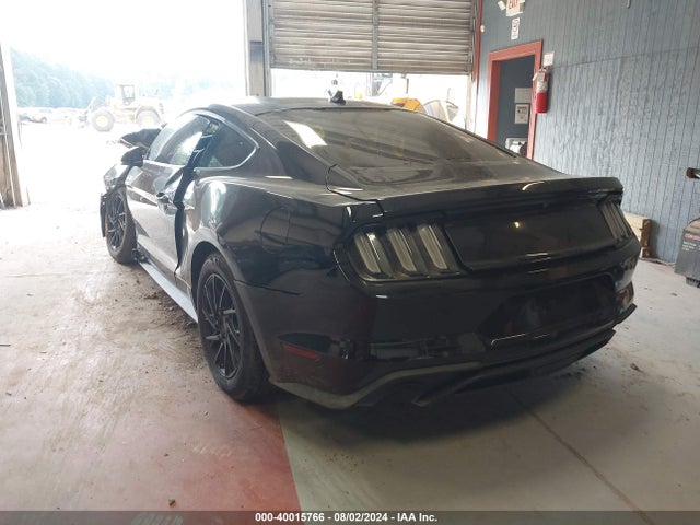 Ford Mustang Ecoboost Fastback 2021 1FA6P8TH9M5114017 Image 3