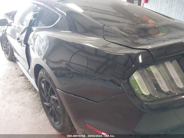 Ford Mustang Ecoboost Fastback 2021 1FA6P8TH9M5114017 Image 6