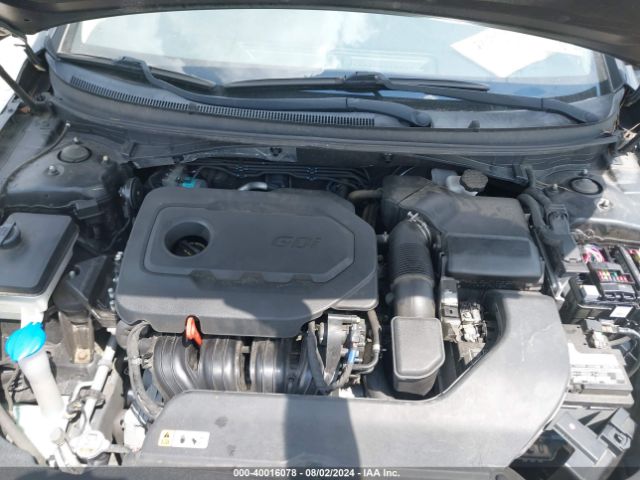 5NPE34AF0HH556590 Hyundai Sonata Sport