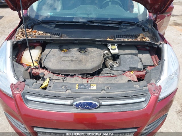 Ford ESCAPE SE 2016 1FMCU9G93GUB05561 Image 10