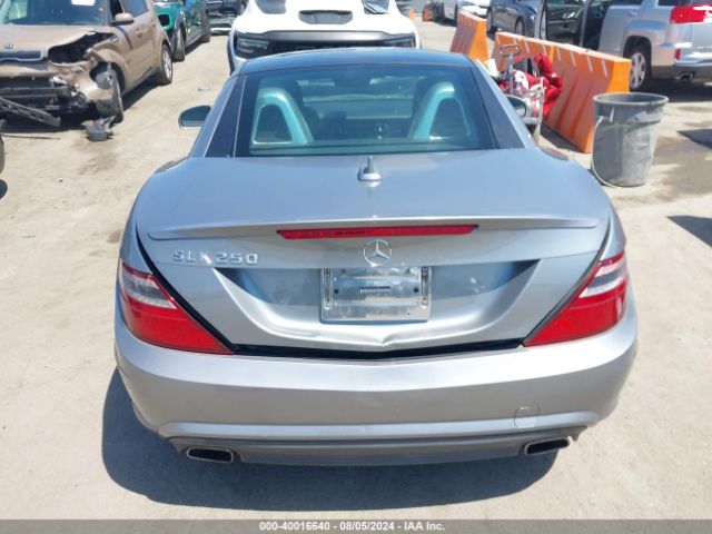 WDDPK4HAXEF077028 Mercedes-Benz SLK 250