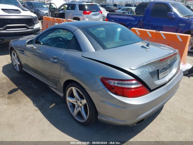 WDDPK4HAXEF077028 Mercedes-Benz SLK 250