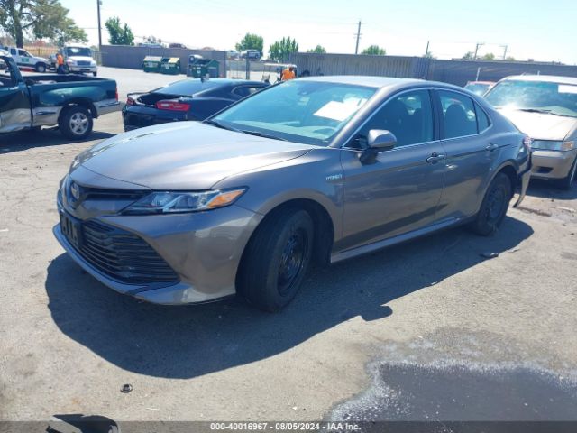 4T1C31AK9LU528736 Toyota Camry Le Hybrid