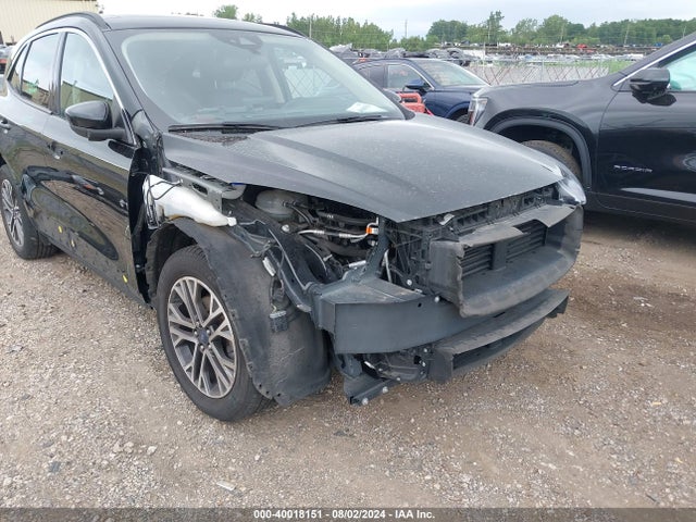 Ford ESCAPE SEL 2020 1FMCU9H94LUC16807 Image 6