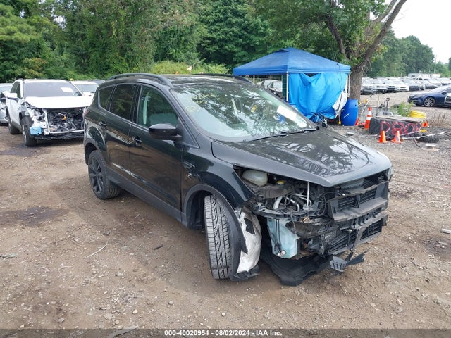 Ford ESCAPE SE 2017 1FMCU9GD7HUE61825 Image 1