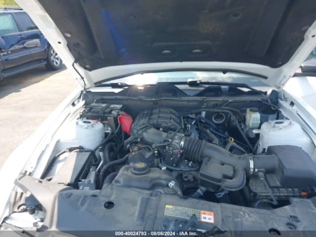 1ZVBP8AM1E5315059 Ford Mustang V6