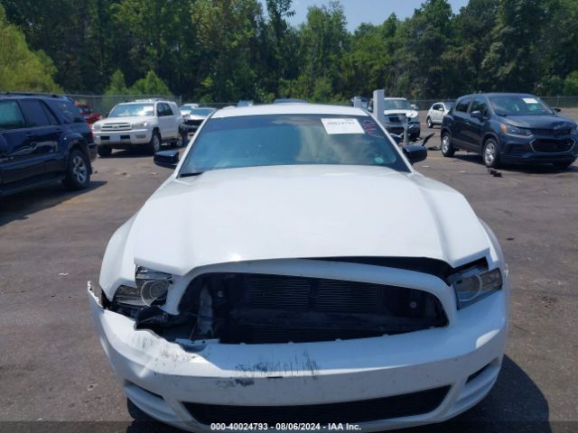 1ZVBP8AM1E5315059 Ford Mustang V6