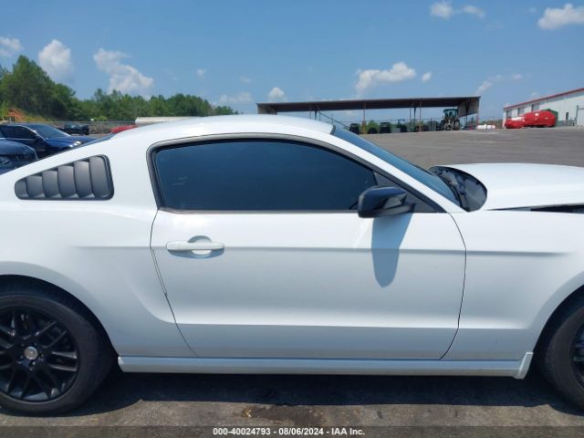 1ZVBP8AM1E5315059 Ford Mustang V6