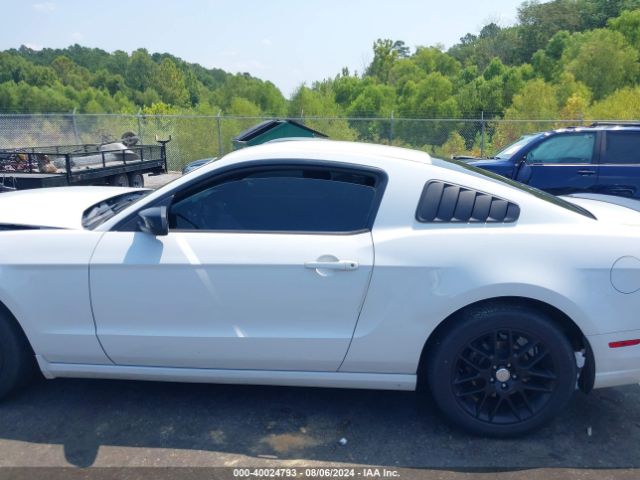 1ZVBP8AM1E5315059 Ford Mustang V6