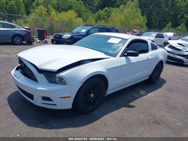 1ZVBP8AM1E5315059 Ford Mustang V6
