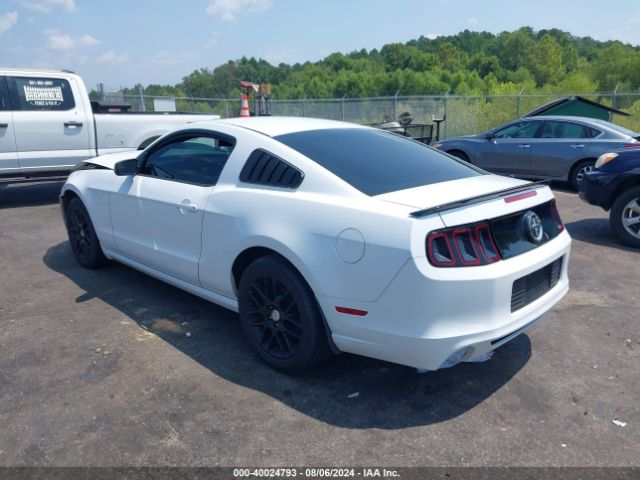 1ZVBP8AM1E5315059 Ford Mustang V6