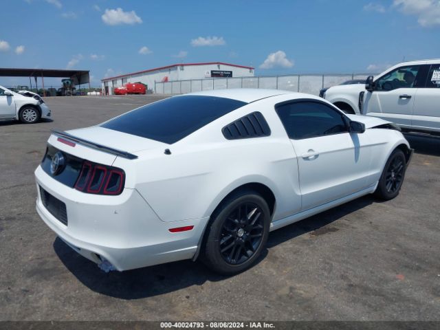 1ZVBP8AM1E5315059 Ford Mustang V6