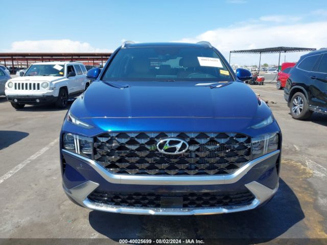 5NMS5DAL0PH565367 Hyundai Santa Fe Calligraphy