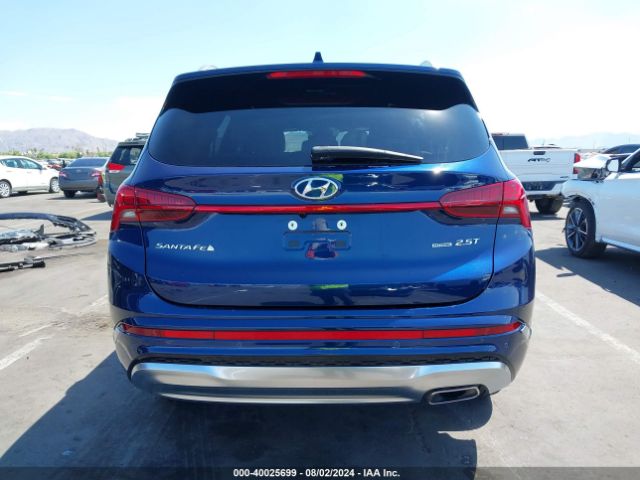 5NMS5DAL0PH565367 Hyundai Santa Fe Calligraphy
