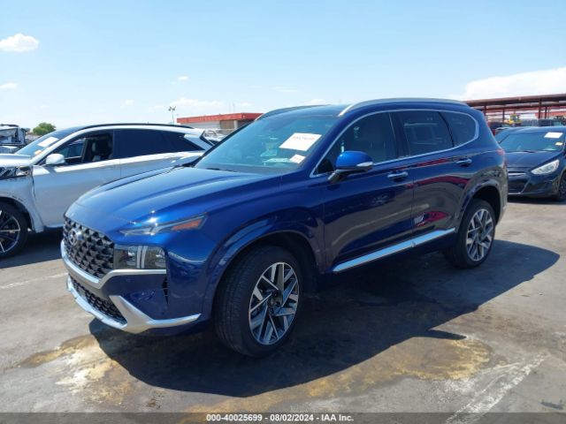 5NMS5DAL0PH565367 Hyundai Santa Fe Calligraphy