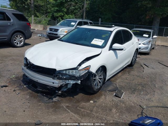 19UUB1F30FA013449 Acura TLX