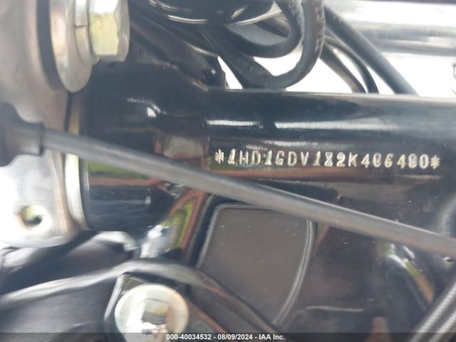 2002 HARLEY-DAVIDSON FXDL 1HD1GDV182K406400 Photo 9