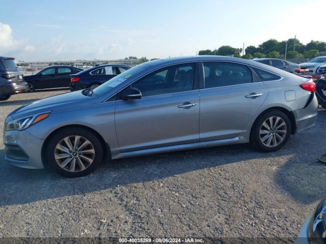 5NPE34AF4GH371666 Hyundai Sonata Sport