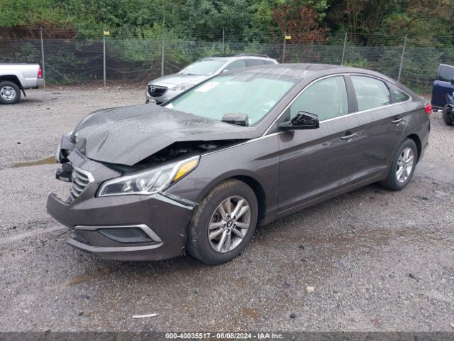 5NPE24AF0HH528890 Hyundai Sonata