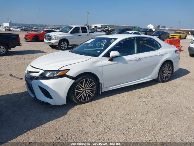 4T1G11AK9LU340385 Toyota CAMRY SE