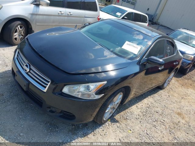 1N4AA5AP8EC462098 Nissan Maxima 3.5 S/3.5 Sv