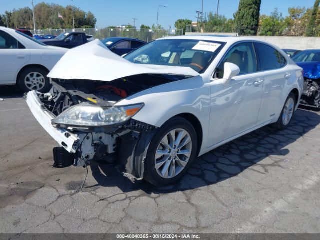 JTHBW1GG0E2067689 Lexus ES 300H