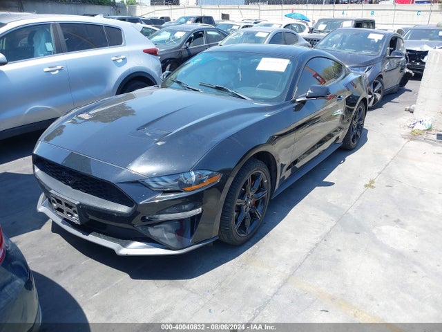 Ford Mustang Ecoboost Fastback 2020 1FA6P8TH8L5101015 Image 2