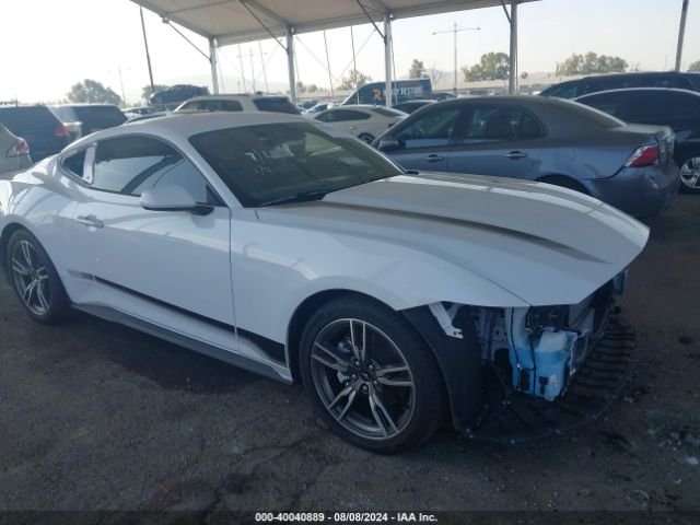 2024 FORD MUSTANG 1FA6P8TH5R5109243