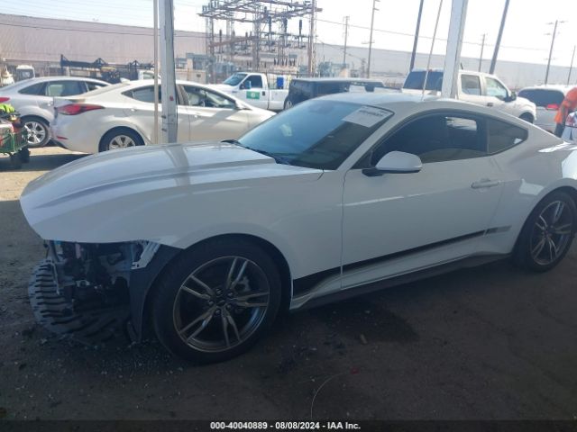 2024 FORD MUSTANG 1FA6P8TH5R5109243 Photo 1