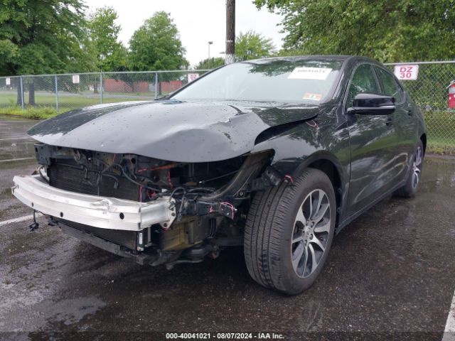 19UUB1F31GA005300 Acura TLX
