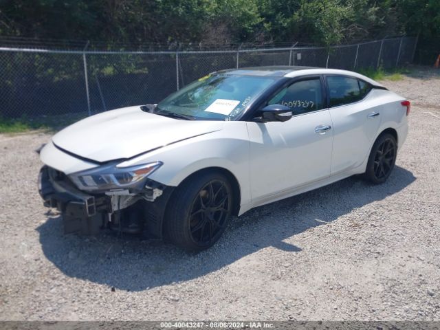 1N4AA6AP4GC423596 Nissan Maxima 3.5 Platinum