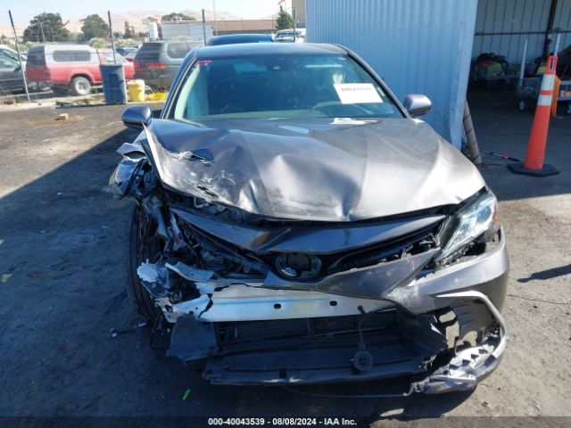 4T1C31AK6PU610316 Toyota Camry Le Hybrid