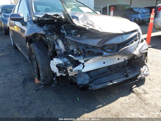4T1C31AK6PU610316 Toyota Camry Le Hybrid