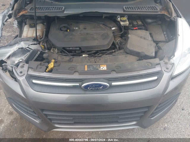 Ford ESCAPE SE 2014 1FMCU0GX0EUB91905 Image 10