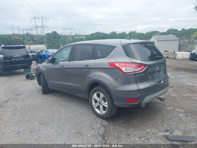 Ford ESCAPE SE 2014 1FMCU0GX0EUB91905 Image 3