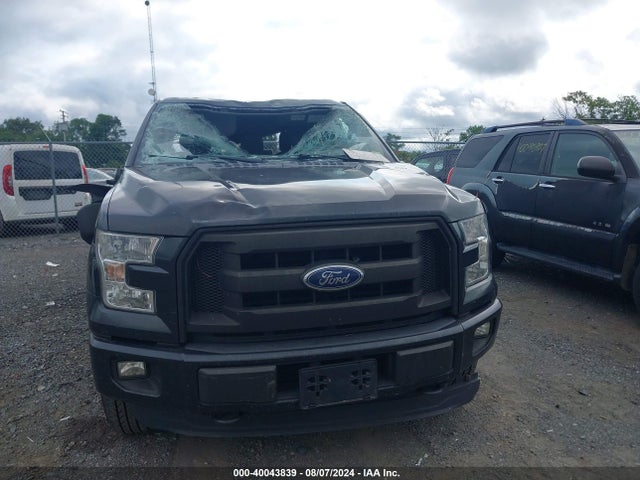 Ford F-150 Xl 2015 1FTEX1EP5FFC10631 Image 12