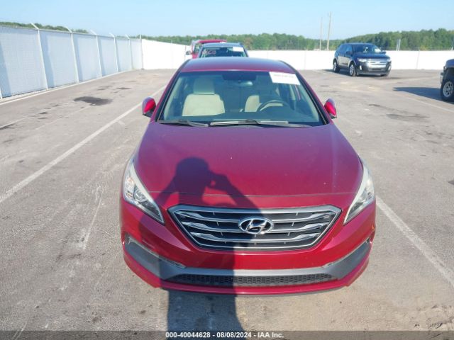 5NPE34AF0GH429143 Hyundai Sonata Sport