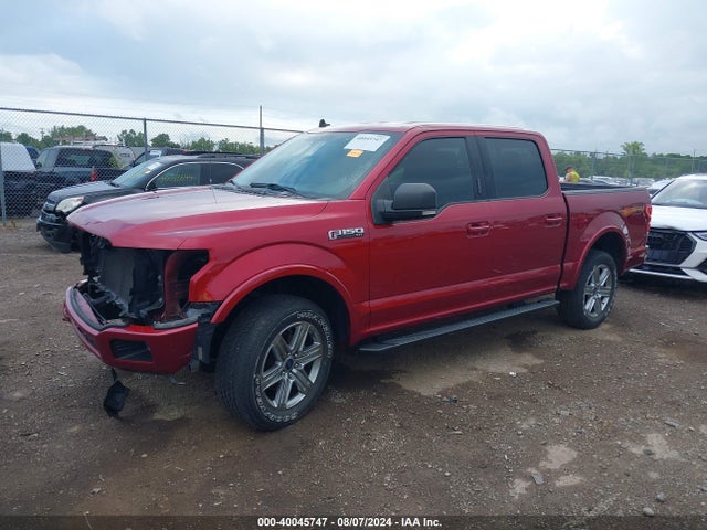 Ford F-150 Xlt 2019 1FTEW1E56KFB61015 Image 2